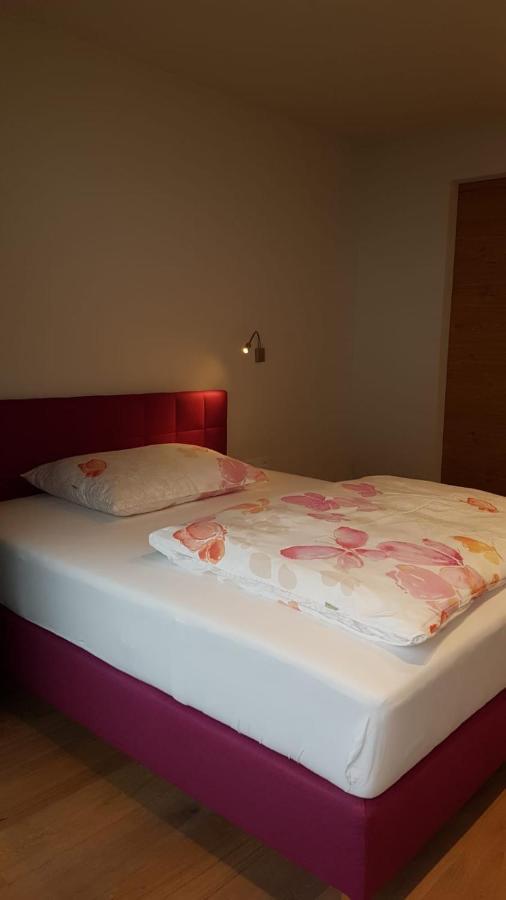 Appartement Mountainview ซาลบาคฮินเทอร์เกลมม์ ภายนอก รูปภาพ