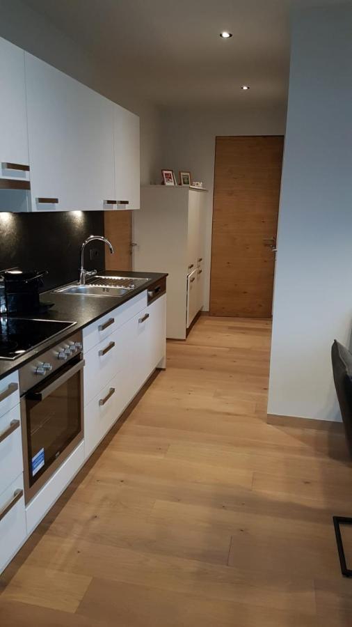 Appartement Mountainview ซาลบาคฮินเทอร์เกลมม์ ภายนอก รูปภาพ